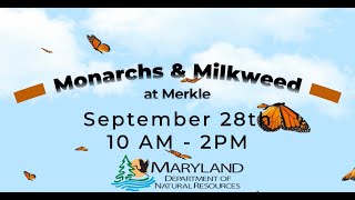 Monarch and Milkweed Festival at Merkle NRMA [upl. by Adest]