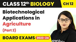 Biotechnological Applications in Agriculture Part 2  Class 12 Biology Ch 12 NCERTNEET 202223 [upl. by Gonyea]