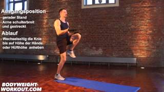 Erklärung Alternating High Knees Deutsch Madbarz Bodyweight Fitness Video [upl. by Sammie199]