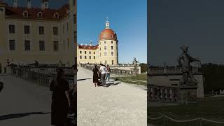 Moritzburg Castle germany dresden shortsvideo youtubeshorts shorts castle trending tourist [upl. by Schear789]