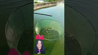 SEMANGKA UNTUK UMPANNYA IKAN ⁉️🍉🐠 shorts funny dubbing [upl. by Yra]