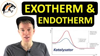 Exotherme amp Endotherme Reaktionen  Energiediagramme erklärt [upl. by Madea]