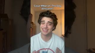 The dog whisperer dogwhisperer pets dog dogtraining [upl. by Anawak671]