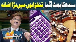 Big Increase In Salaries  Govt Employees Salary Increase  Sindh Budget 202425  Breaking News [upl. by Albertson]