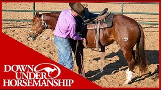 Clinton Anderson An Overview of Starting a Colt  Downunder Horsemanship [upl. by Raquel613]