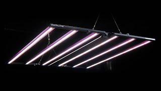 Parlite Expert 600 led grow light review [upl. by Septima]