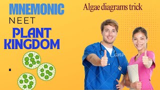 Algae diagram trick  neet [upl. by Clementina]