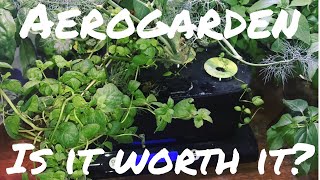 Aerogarden Full 3 Month Review w tips [upl. by Cathleen]