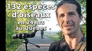 132 espèces doiseaux en 24 hrs  Les Ornitrotteurs Grand Défi Québec Oiseaux 2021 [upl. by Eirrak319]