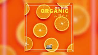 Adrii Static  Organic Vibe Clean [upl. by Lipkin]