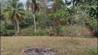 Economico Terreno Tipo Finca Barato en Venta 20242503 [upl. by Llenwahs886]