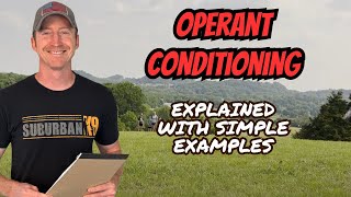 Operant Conditioning In Dog Training Explained With EXAMPLES [upl. by Asilrac588]