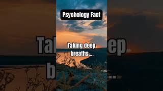 QuirkQuest Fascinating Facts About LifePsychologyFacts Psychology101 HumanBehavior [upl. by Pooi988]