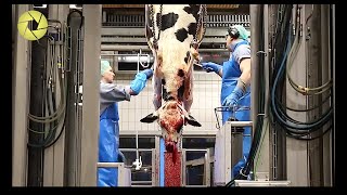 Inside The Meat Processing Plant  Inside The Food Factory  Incredible Process Worth Watching HD [upl. by Dihsar]