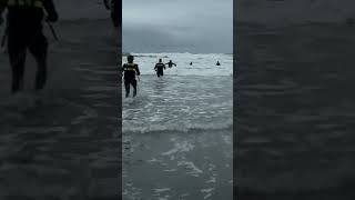 Firefighters trained for Surf Rescue [upl. by Dyl913]