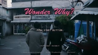 ANATOMY RABBIT  Wonder Why  Official Music Video [upl. by Nitsirk]