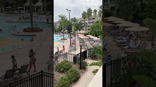 Sheraton Vistana Villagesshorts orlando resort [upl. by Assiran]