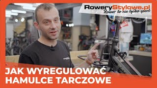 Jak wyregulować hamulec tarczowy Tektro w Batavus Extra Quip Cargo Bosch [upl. by Emmalynne]