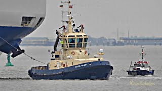 Schlepper amp Autotransporter GLOVIS CHORUS D7OR IMO 9158604 amp SIEM PLATO Emden tugs amp car carriers [upl. by Ahsila]