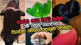 නාන්න කලින් මේ තෙල් ගෑවොත් හිතාගන්න බැරි විදියට කොණ්ඩය වැවෙනවා fast Hair growth remedy sinhala [upl. by Dorthy]