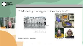 Kathryn Patras  Hostmicrobe interactions in the vaginal microenvironment  S03 MVIF30 [upl. by Boland]