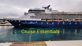 My recommendation for cruise essentials [upl. by Ilyk]