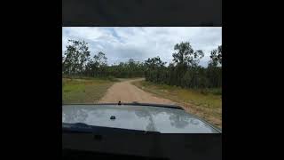 80km Whites Creek Rd to Maytown QLD 2832021 water crossing Palmer river Td42 Nissan Patrol [upl. by Kroll]