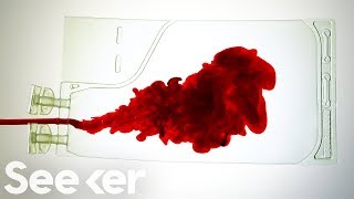 What Really Happens to Your Blood After You Donate [upl. by Noryahs]