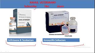 pregnancy safe medicin in veterinary [upl. by Moriah]