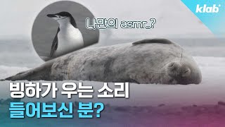 히말라야에서 하는 장례식 대체 누굴 기리는 거예요…｜크랩 [upl. by Ramoj287]