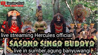 Hercules Official sedang live streaming jaranan sasono singo budoyo di sumber agung banyuwangi [upl. by Eekaz]