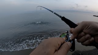 LRF Fishing Cyprus Pomos Pachyammos Ζαργάνα needlefish Ψάρεμα Κύπρος Savage Gear [upl. by Einapets514]