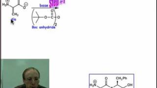 Peptide Synthesis [upl. by Nylareg]