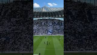 Spurs fans create ‘Welcome to N17’ TIFO [upl. by Bedad329]