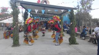 Mas Danza de los matachines Matehuala SLP [upl. by Otha]