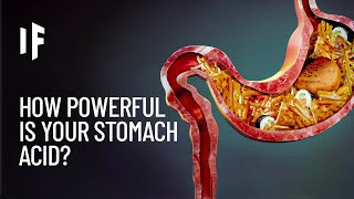 What If Your Stomach Acid Disappeared [upl. by Myra]