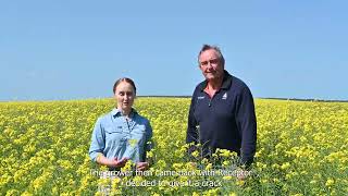 A new mode of action for Red Legged Earth Mite control in canola Receptor insecticide Esperance WA [upl. by Lila359]