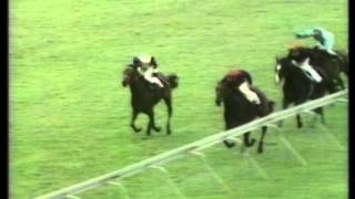 1971 Champion Stakes [upl. by Roscoe]