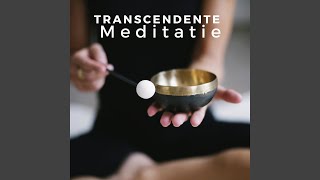 Transcendente Meditatie [upl. by Odidnac500]