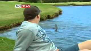 Golfers Brave SharkInfested Course [upl. by Nemra262]