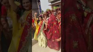 Rajasthani dance 💃 vedio dance rajasthan [upl. by Fishman]