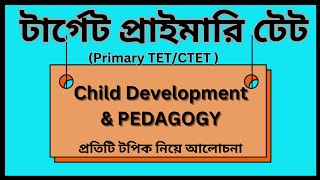 Primary TET  CTET  Child Pedagogy  globalgkzone [upl. by Llenoil]