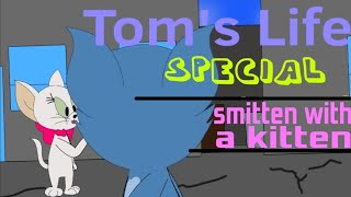 Toms Life Special  Smitten with a kitten [upl. by Earle]