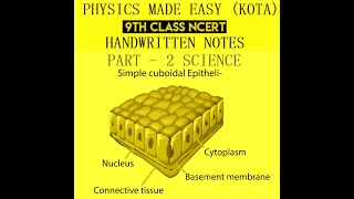 PART  2 CLASS  9 TH NCERT SCIENCE NOTES MOTION DIVERSITY IN LIVING ORGANISM TISSUE FOR CBSE 1 [upl. by Avner]