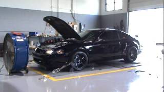 2001 Mustang GT on the Dyno with TFS TopEnd Kit  Steedaca [upl. by Tenneb622]