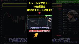 【FX】トレーディングビューの必須設定 [upl. by Annahvas]