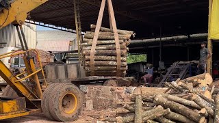 PEELING TREES👌 SAW MILL PLYWOOD PROCESS 🔥 WOODEN WORKING AT SAW MILL 🪵 [upl. by Rolf]