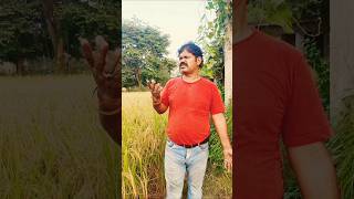 Amrapurkar ka dialogueacting Ashok Allahabadshortsvideo bollywood [upl. by Ivy791]