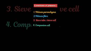 Parts of phloem constituent of phloemvascular tissue of plant plants [upl. by Astra]