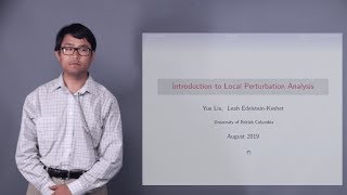 Introduction to Local Perturbation Analysis LPA [upl. by Edualcnaej]